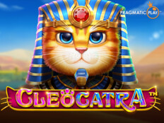 Cool cat online casino. Aloe vera ile zayıflama.32